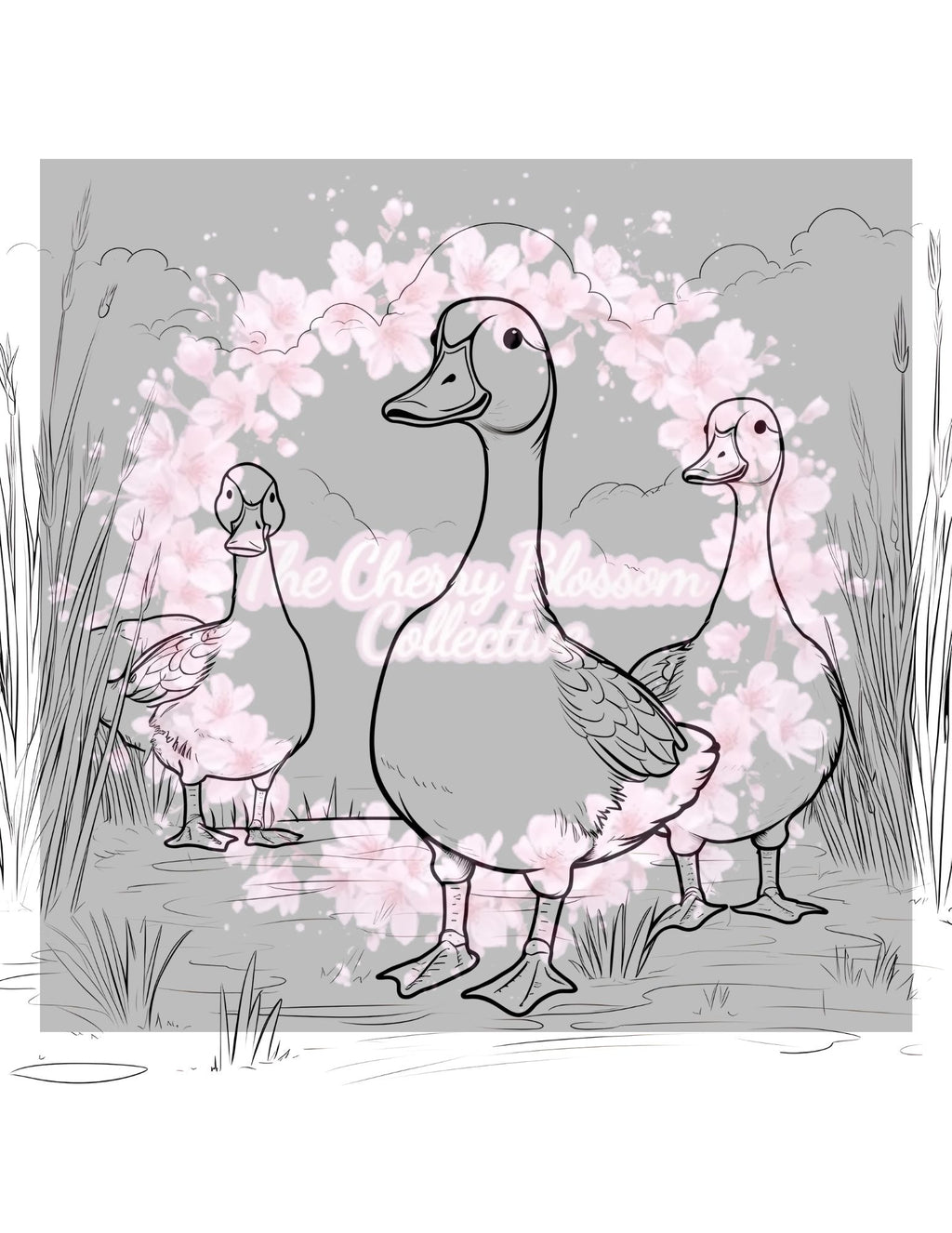 Farm Animals Colouring Book PDF