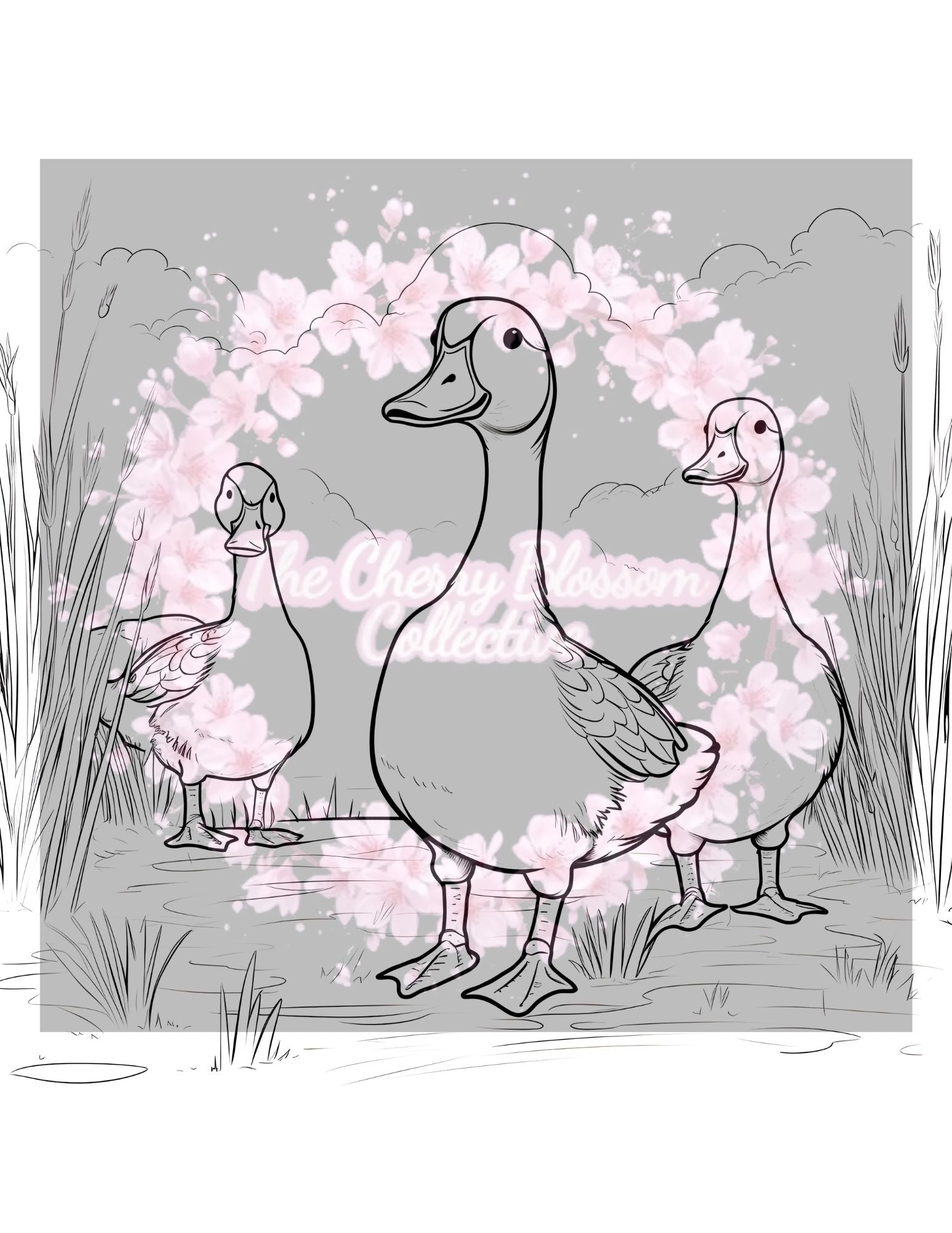 Farm Animals Colouring Book PDF
