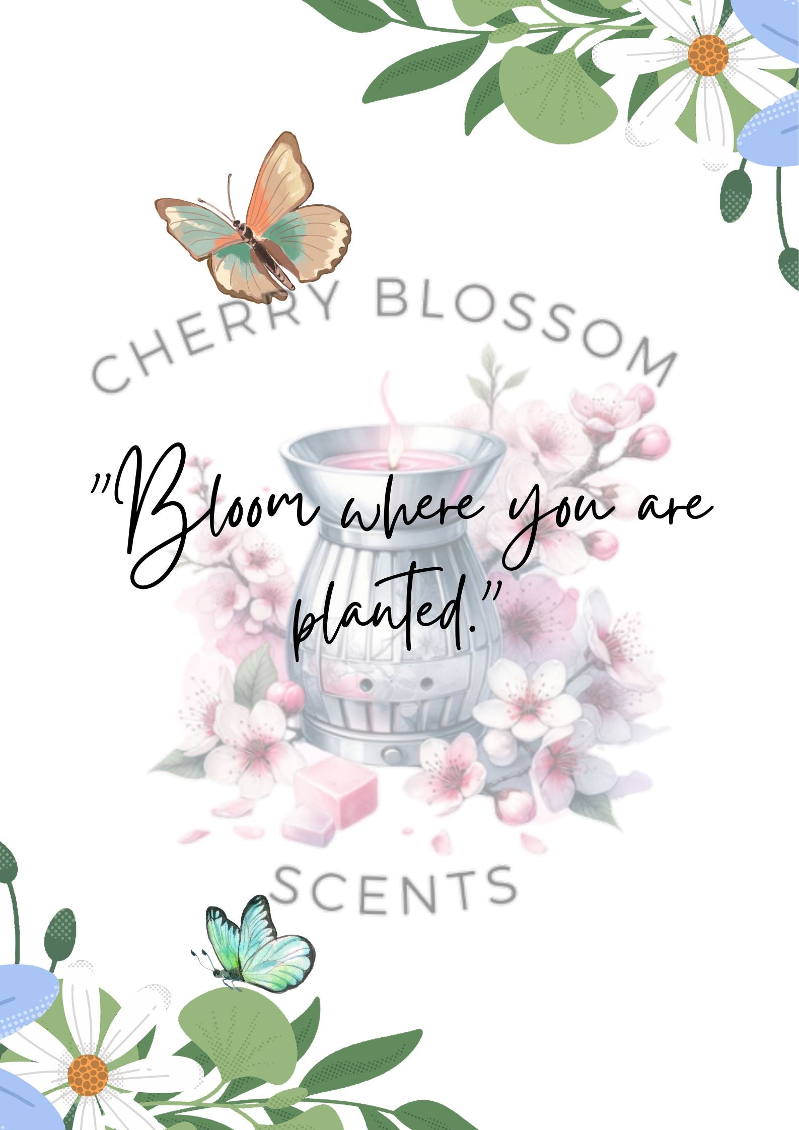Bloom Where You Are Planted