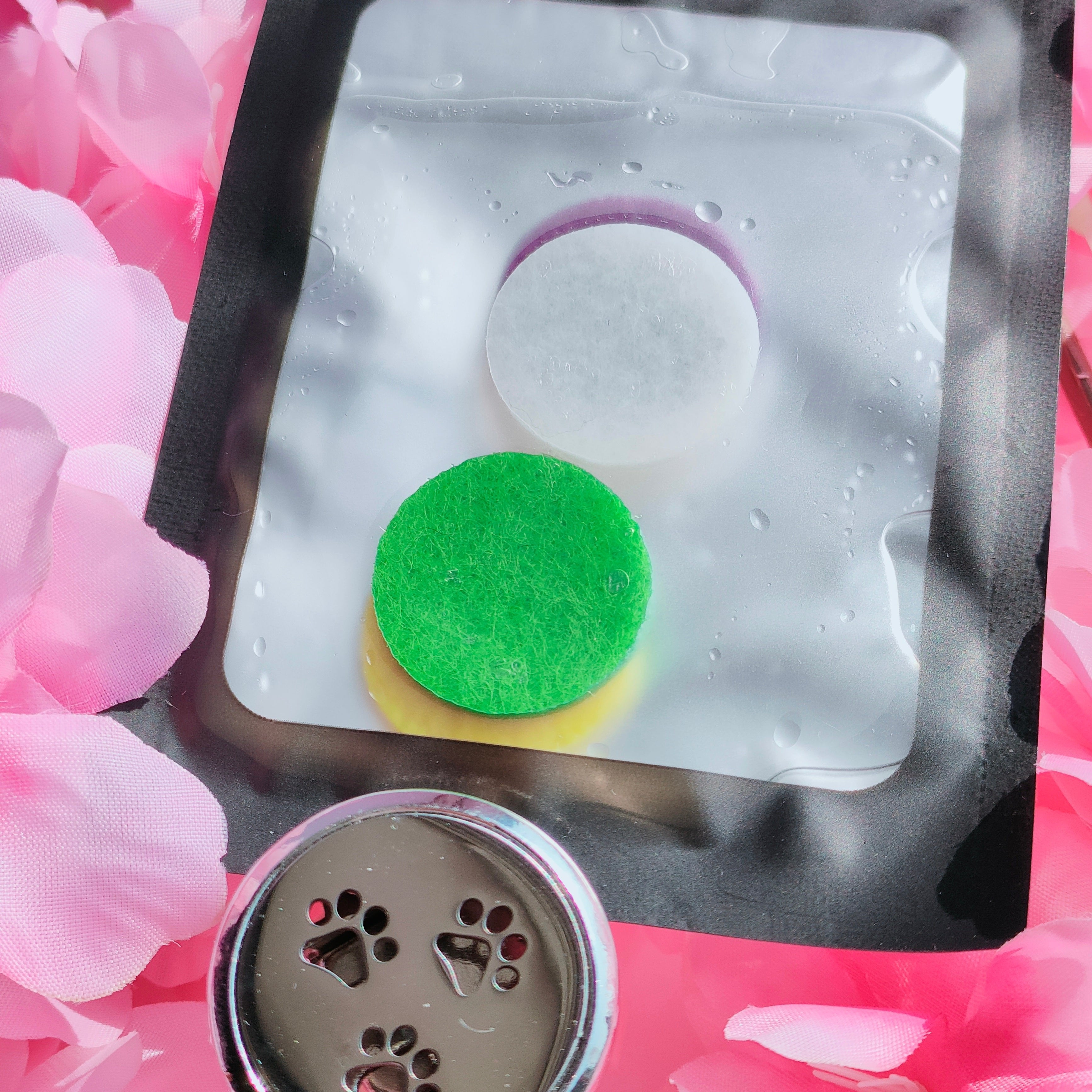 Car Freshener Starter Kit Pear Free - Cherry Blossom Scents
