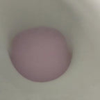 Toilet, Mop & Sink Fizzers