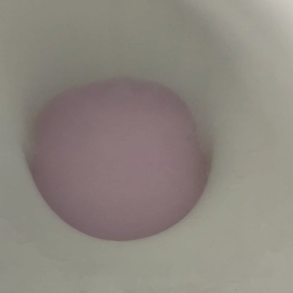 Toilet, Mop & Sink Fizzers