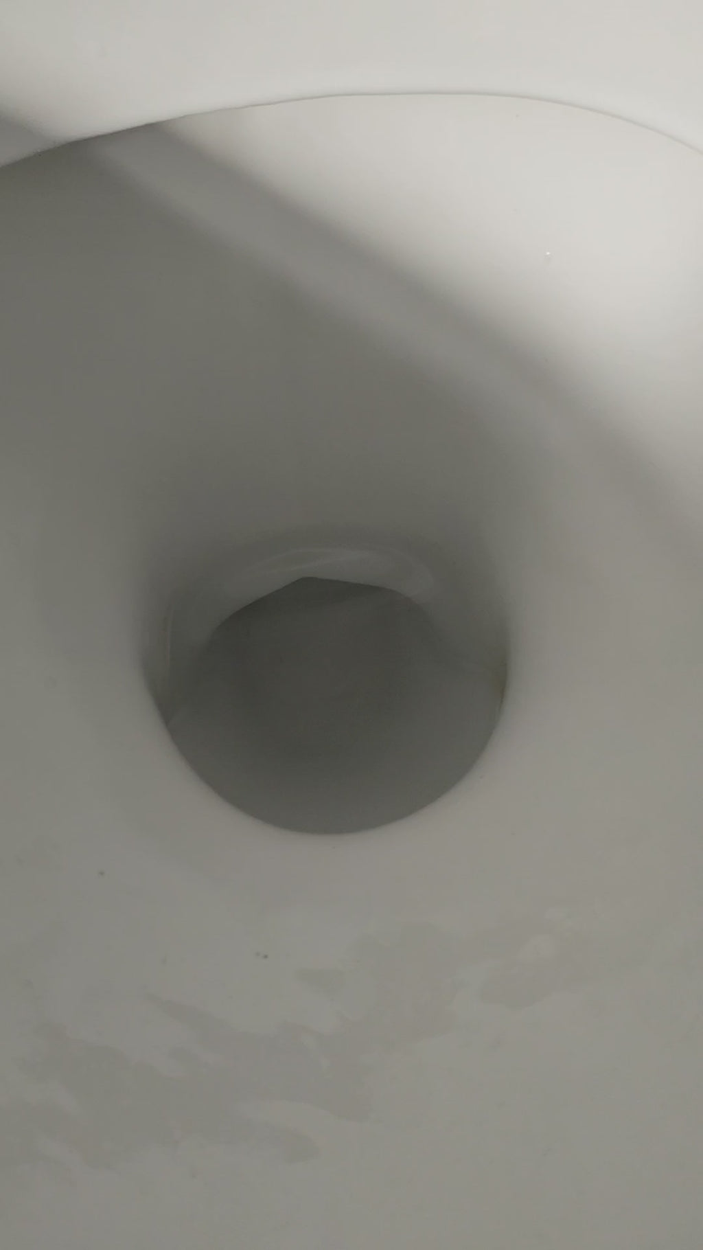 Toilet, Mop & Sink Fizzers