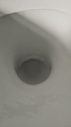 Toilet, Mop & Sink Fizzers